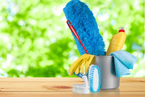Professional carpet steam cleaning service in a Belsizepark home