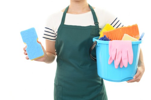 Professional hard floor cleaning for Belsizepark homes and businesses
