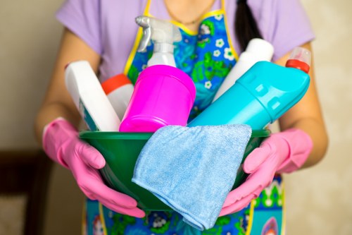 Local cleaner working in a Belsizepark residential property