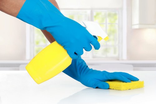 Technician assessing a carpet stain in a Belsizepark home