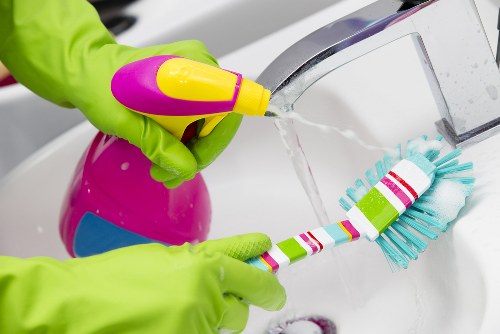 Local specialist service for removing pet stains and lingering odours