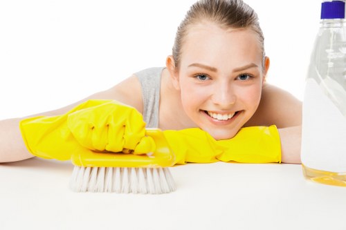 Upholstery cleaner treating a fabric sofa in Belsizepark