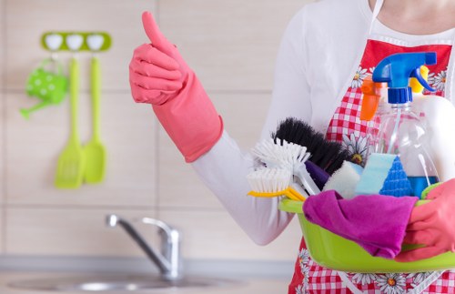 Professional gutter maintenance for flats and homes in Belsizepark