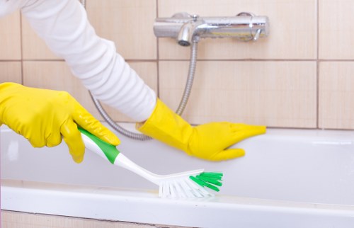 Rug dust removal and stain treatment process