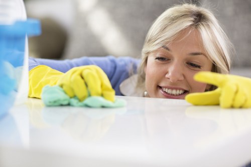 Deep cleaning of carpet fibres in a Belsizepark apartment