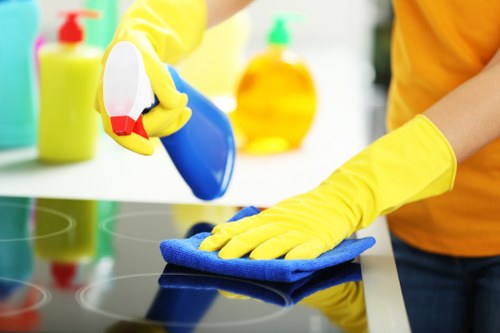 Final handover cleaning in a Belsizepark rental home