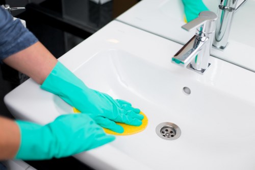 Deep cleaning support for a Belsizepark home interior