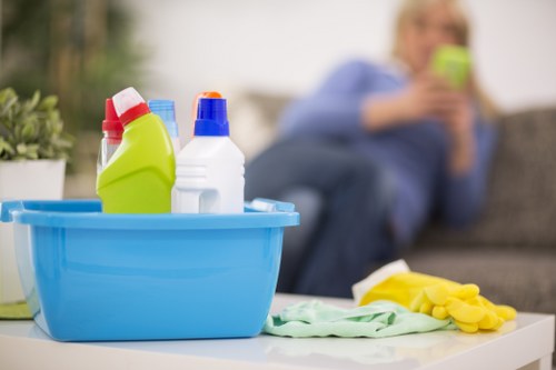 Professional domestic cleaning for a flat in Belsizepark
