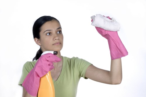Regular cleaning support for Belsizepark flats and offices