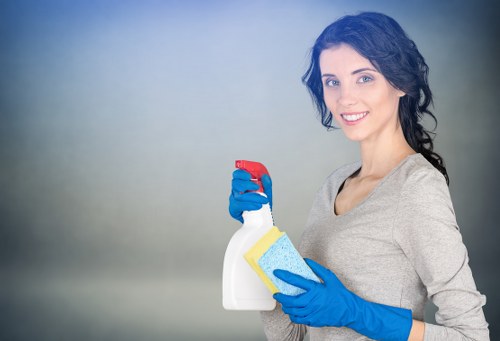 Inclusive Cleaners Belsizepark website content with clear navigation